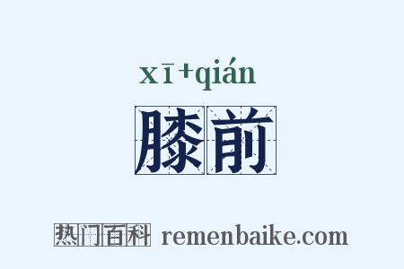 膝前是什么意思的图片